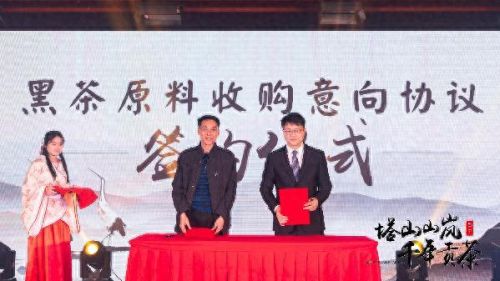 山岚会长的武器(阴阳师ssr山岚)插图4