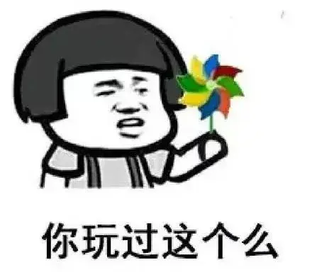 皇城突袭前线(皇城突袭)插图26