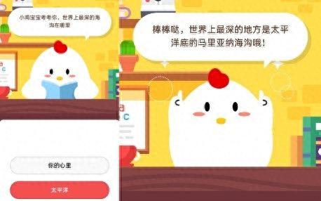 忘忧草看似很文艺(忘忧草唯美画面)插图