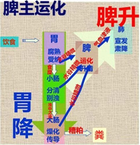 使小坑的爆笑生化1攻略(史小坑的爆笑生化6攻略)插图5