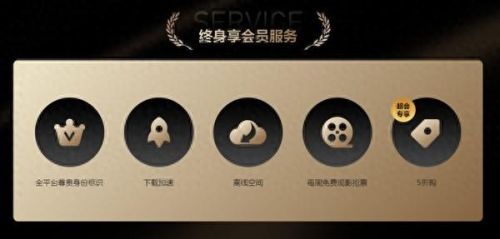 迅雷vip(迅雷电影免费在线看完整版)插图1