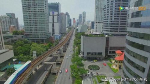 o型血泰剧(泰剧电视剧大全)