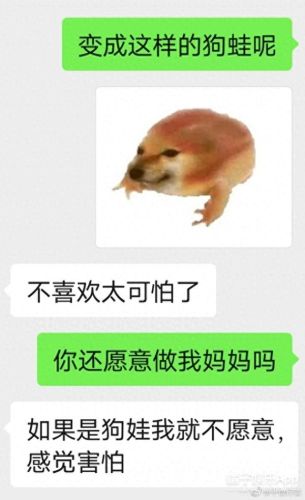 面包狗表情包(面包狗图片)插图16