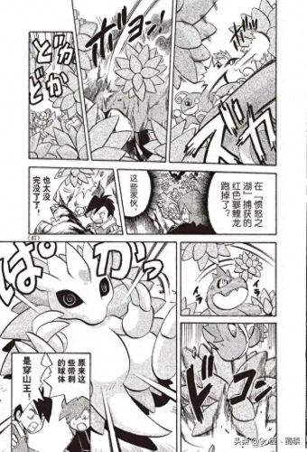 宠物小精灵bw145(宠物小精灵dp145)插图7