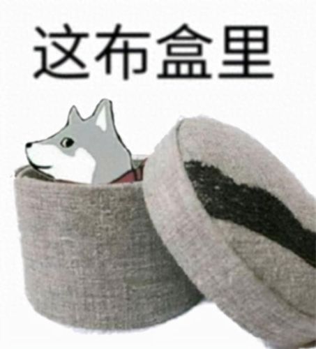 吃菠萝是什么梗(吃菠萝有什么功效和作用)插图3