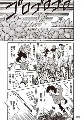 宠物小精灵bw145(宠物小精灵dp145)插图5