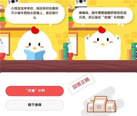 雨后蜗牛为什么爬到水泥墙上(为什么雨后蜗牛不能碰)