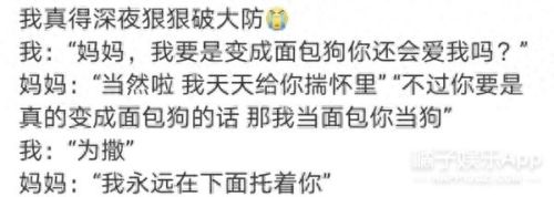 面包狗表情包(面包狗图片)插图26