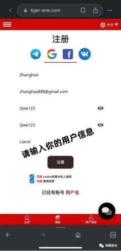 老虎邮箱(gmail邮箱国内怎么用)插图2