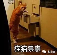 泰拉瑞亚双胞胎攻略(当女玩家玩泰拉 瑞亚)插图5