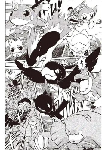 宠物小精灵bw145(宠物小精灵dp145)插图6