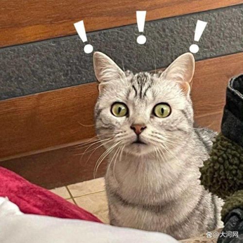 微信内测朋友圈可以置顶了(微信内测朋友圈置顶功能)插图