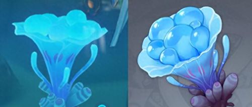 原神海灵芝(原神海灵芝哪个商人有卖)插图1