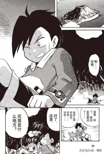 宠物小精灵bw145(宠物小精灵dp145)插图