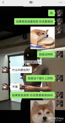 面包狗表情包(面包狗图片)插图22