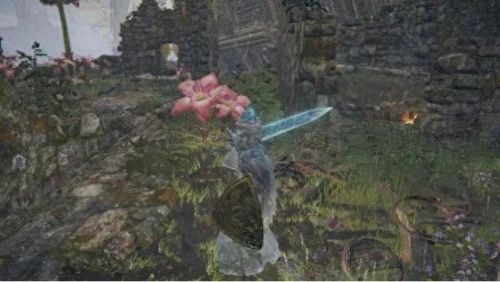 艾尔登法环菈妮支线(艾尔登法环菈妮)插图10