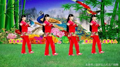 广场舞百鸟朝凤(百鸟朝凤舞蹈)插图7