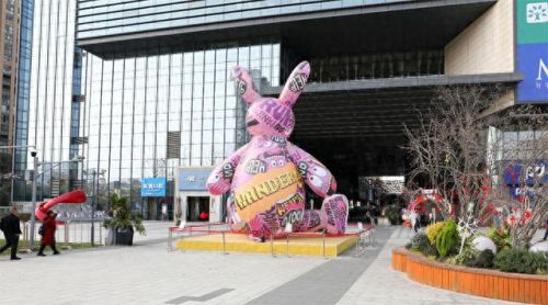 红萝卜兔(洛克王国红萝卜兔)插图1