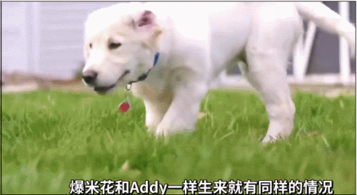 tips是什么意思梗(tips扣款和大厅扣款区别)插图38