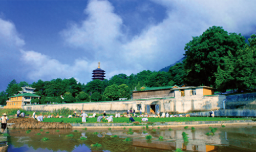 天下三传到场副本攻略(天下3地藏王副本攻略单刷)插图10