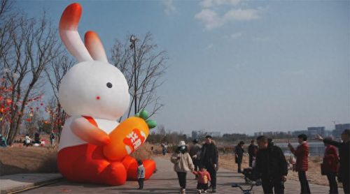 红萝卜兔(洛克王国红萝卜兔)插图3