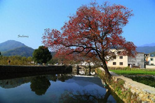 中国画里的乡村指的是(画里乡村)插图18