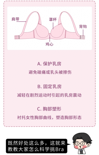 胸围尺寸(最佳三围尺寸)插图4