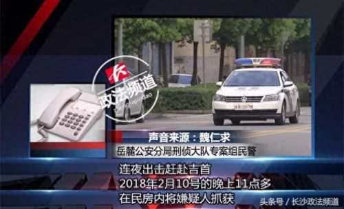 珠宝大盗(珠宝大盗秒变神探)插图1