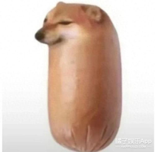 面包狗表情包(面包狗图片)插图3