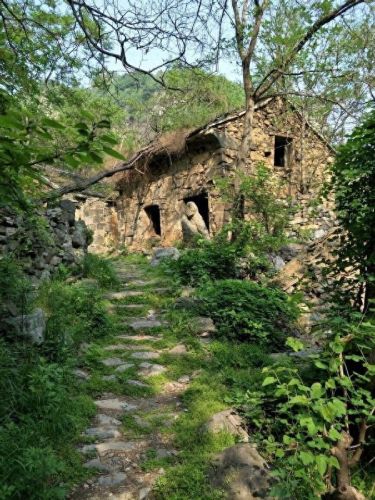 河南焦作鬼村(焦作鬼村全集)插图