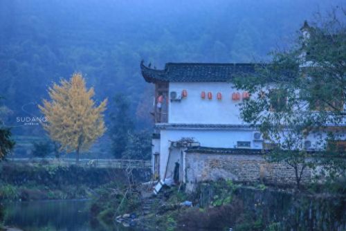 中国画里的乡村指的是(画里乡村)插图13