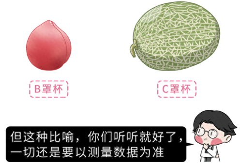 胸围尺寸(最佳三围尺寸)插图9