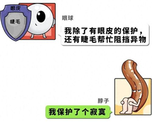 男生女生一起做亏亏的是草莓游戏(草莓甜心游戏系列大全)插图7