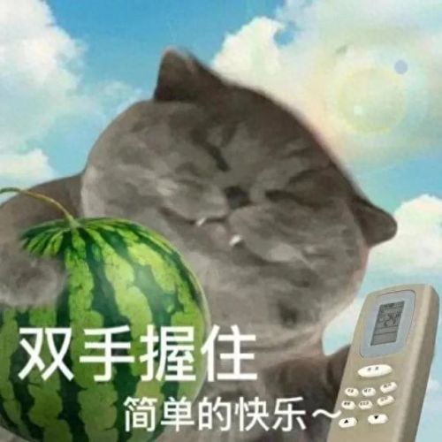 七夕青蛙表情包(青蛙表情包全套)插图5