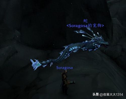 猎人宠物(猎人宠物总是莫名消失)插图4