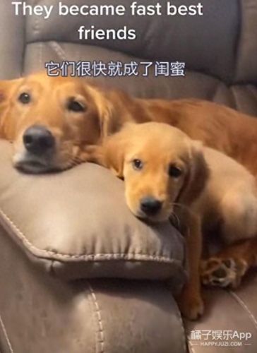 tips是什么意思梗(tips扣款和大厅扣款区别)插图47