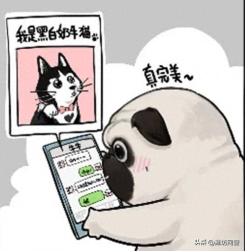 打字赚钱(打字接单的app)