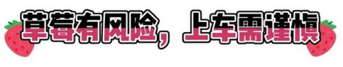 男生女生一起做亏亏的是草莓游戏(草莓甜心游戏系列大全)插图9