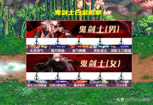 dnf辅助装备白金徽章镶嵌(天帝装备镶嵌什么徽章)插图