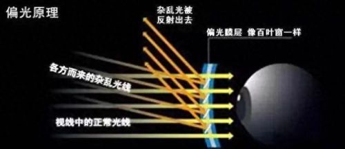 钓鱼用的眼镜(钓鱼眼镜哪款的好)插图5