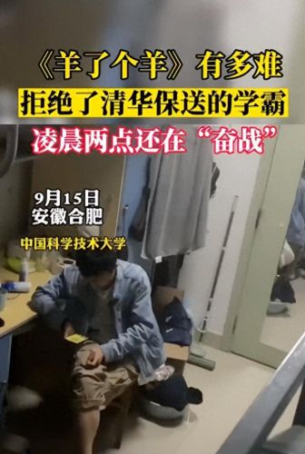 羊了个羊什么意思(羊了个羊比喻什么)插图3