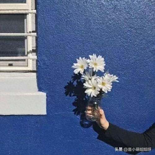 手机怎么能赚钱(手机怎么能赚钱啊)插图1
