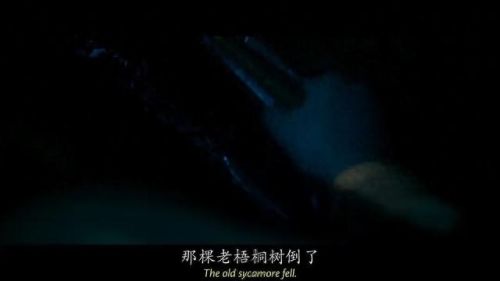 高级恐惧技能(大乱斗远古恐惧带什么技能)插图14