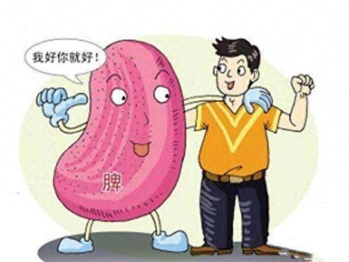 使小坑的爆笑生化1攻略(史小坑的爆笑生化6攻略)插图4