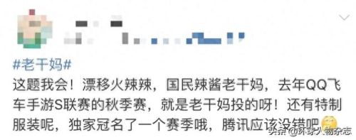 老干妈 腾讯(老干妈)插图3