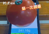 touchscale称重计(touchscale安卓版)