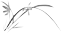 暗影长廊(男生暗影长廊拍照姿势大全)插图22