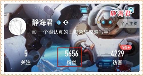 王者星会员是什么(转区为啥还要99元)插图2