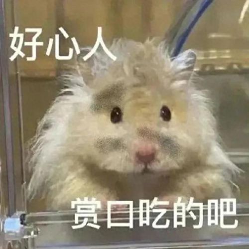 七夕青蛙表情包(青蛙表情包全套)插图12