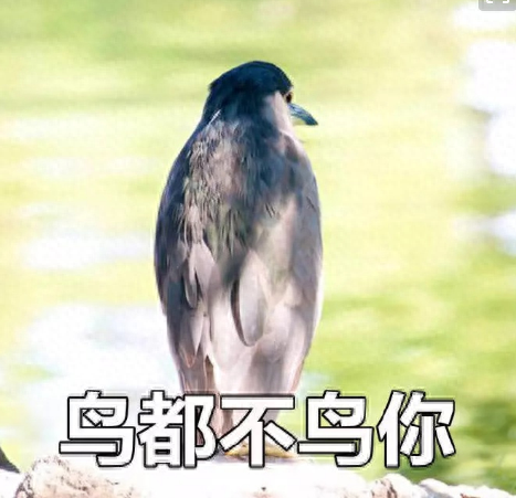 lol无限技能插件(lol最近很火的插件软件)插图9